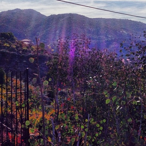 View from North Twin Oaks back to the hillside