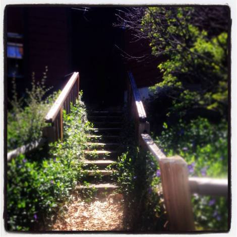 Idyllic stairs leading to the restaurant deck. Rest at last!