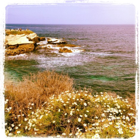 La Jolla Cove