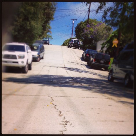 Linda Rosa Wall - it looked worse in person