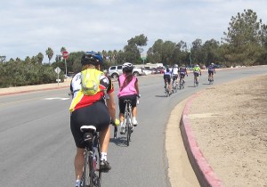 The headwind-enforced pace-line north on W Mission Bay Dr.