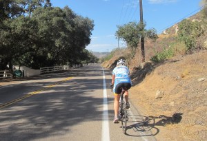 Old Castle Rd's shady bottom.