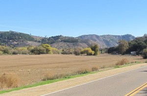 The field along Camino Del Rey.