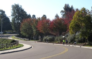 A colorful little climb on Willowsprings Dr.