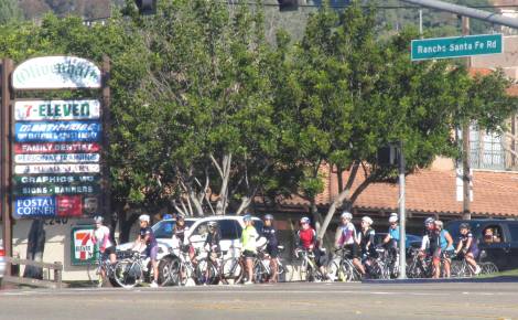 What a great line up!