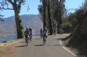 A flat roll by the lake.