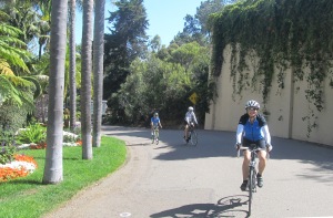 Coming down the twisty fun that is Serpentine Dr in Del Mar.