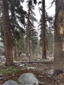 12105951_882035501880636_5865998958040851920_n