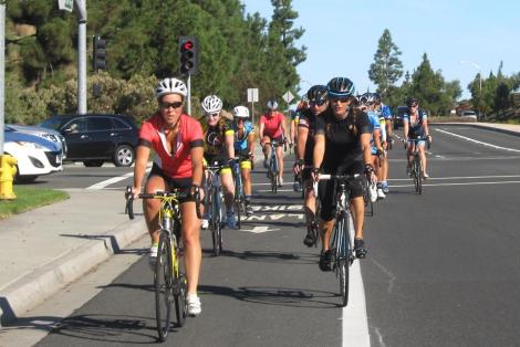 A and C on Poinsettia