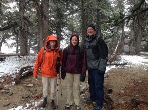 The 'willing' participants