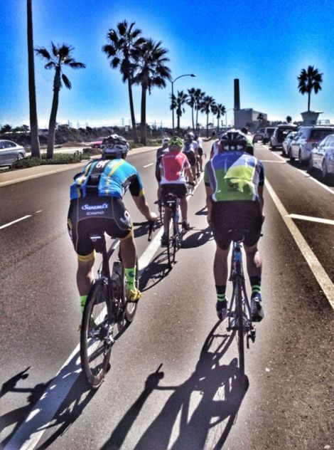 coast with palm trees