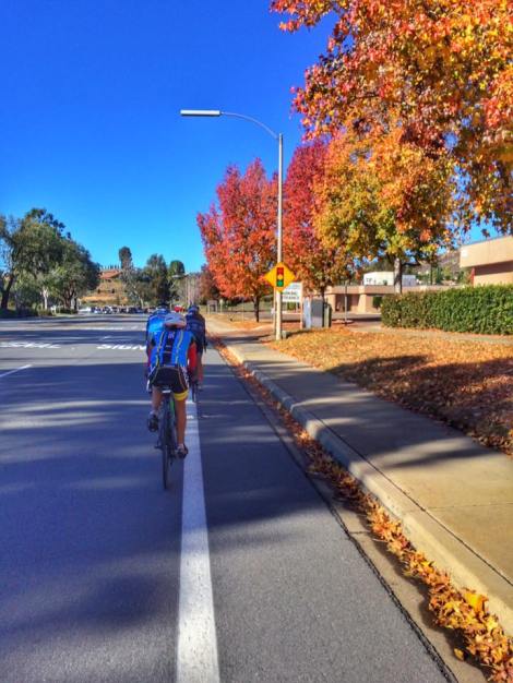 fall foliage in poway