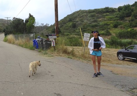 18835872_10212309632603408_8419238711010377721_n